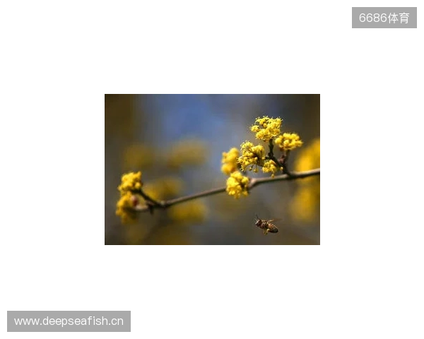 布达佩斯Major第一阶段:战舰轰鸣!FaZe 2-1 RED Canids